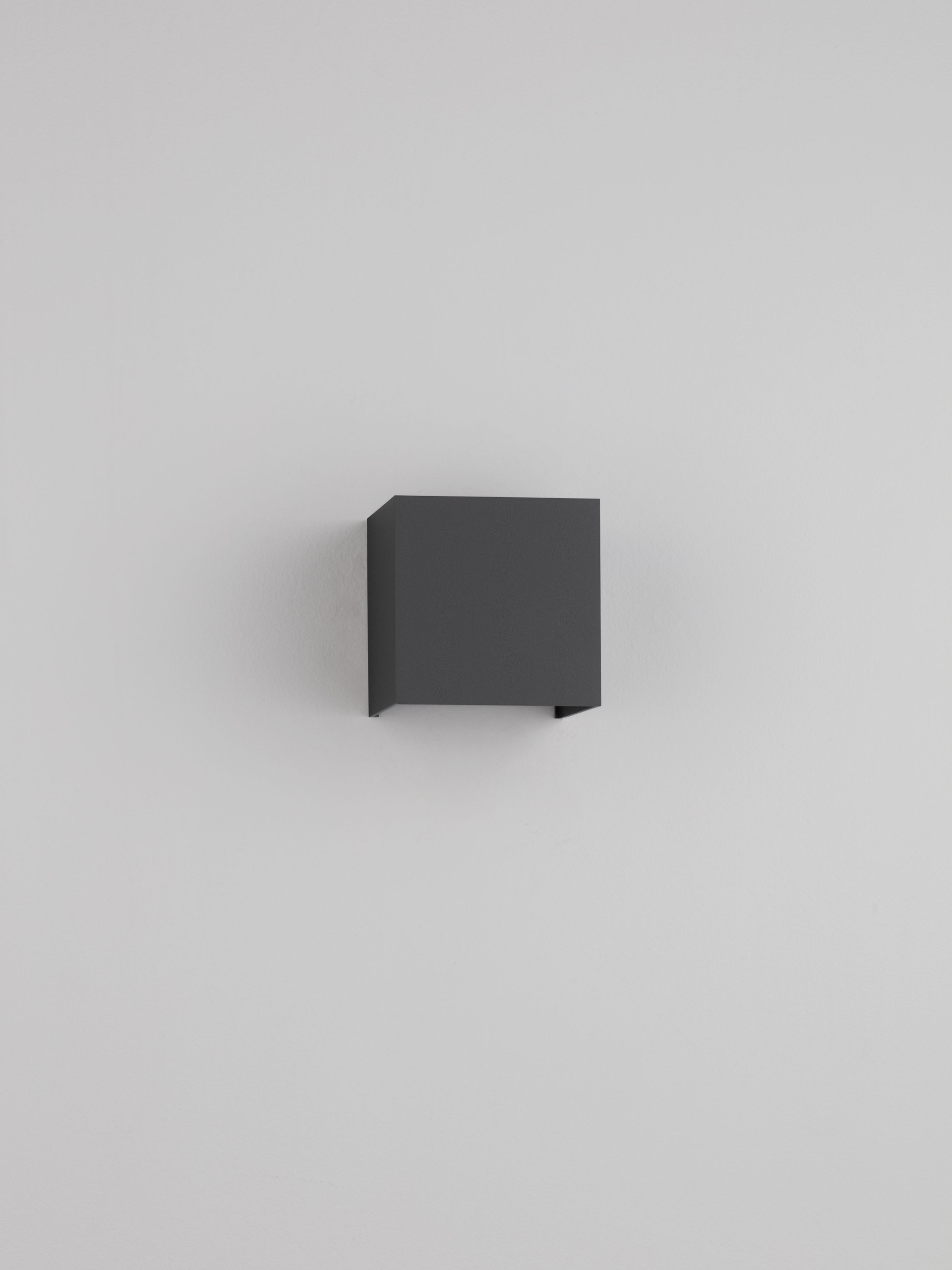 VECTOR thumbnail