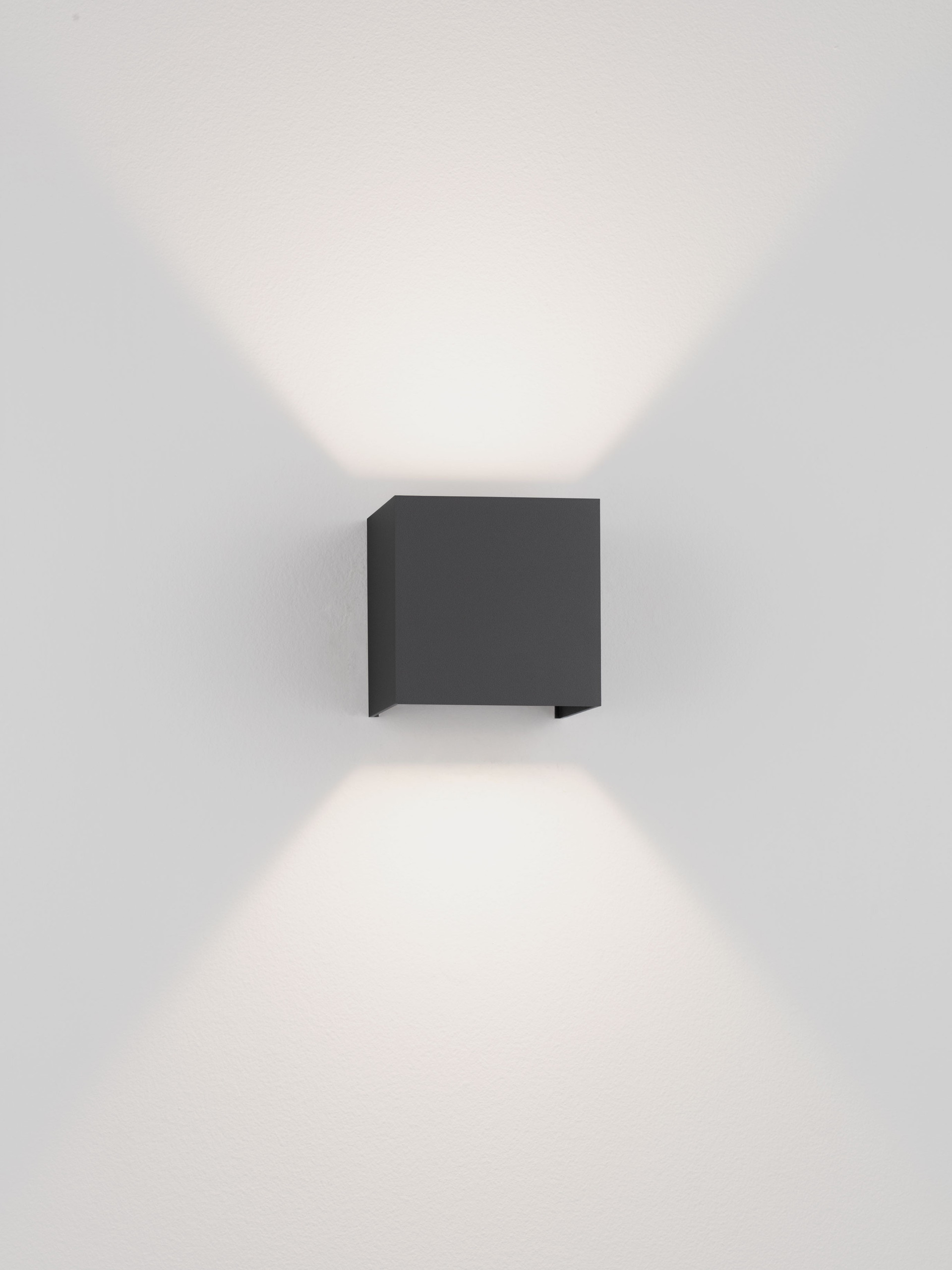VECTOR thumbnail