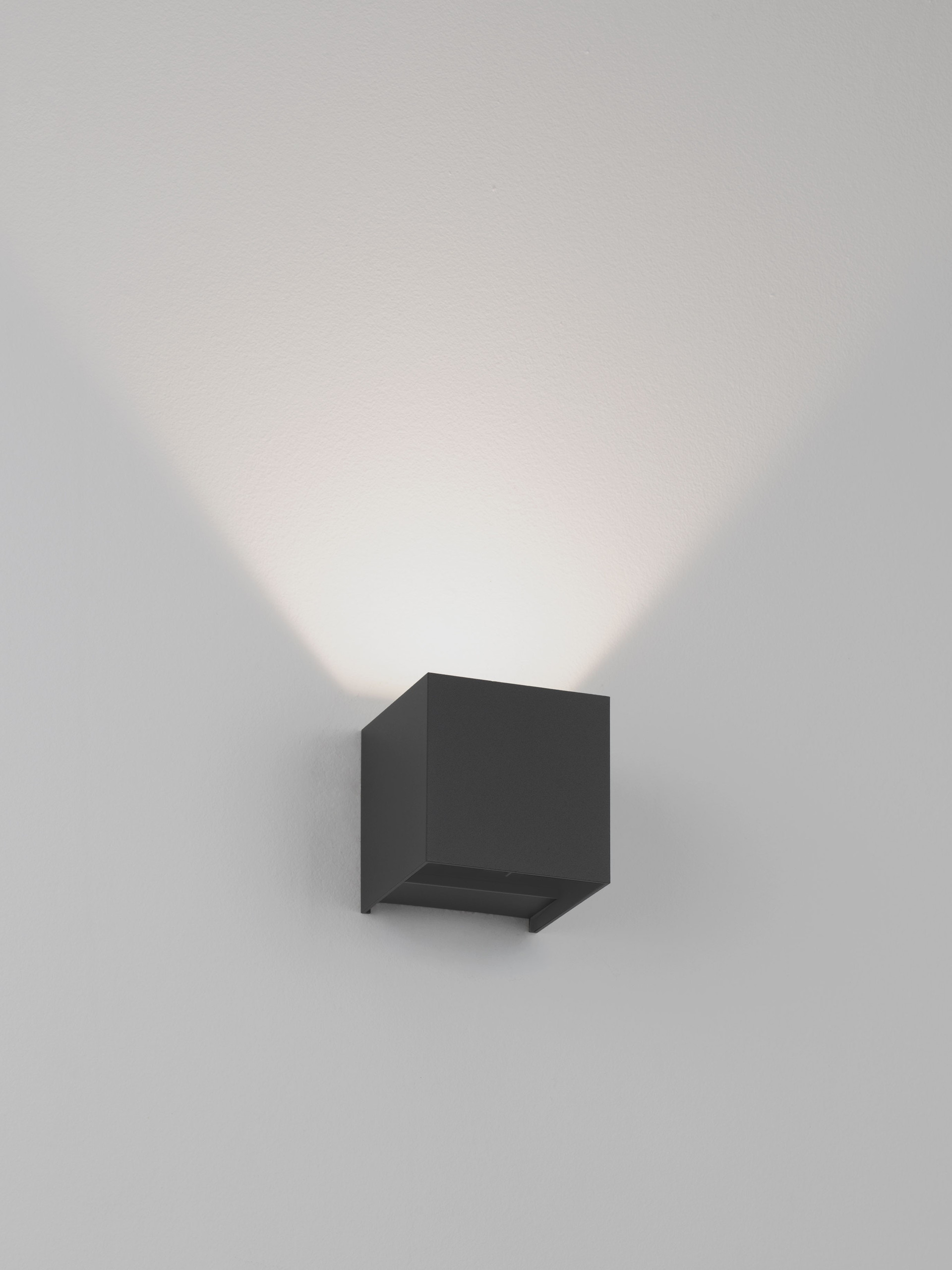 VECTOR thumbnail