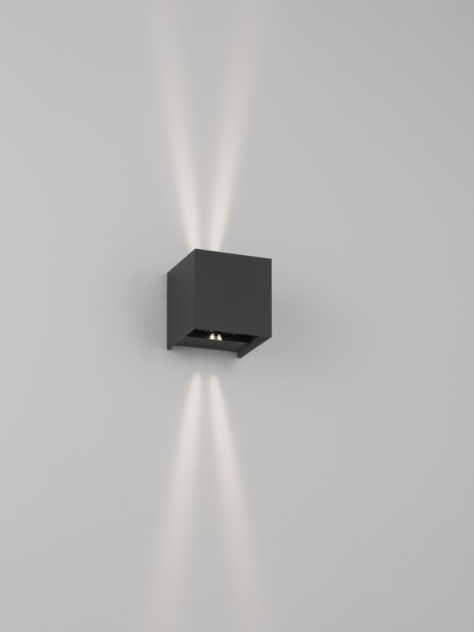 VECTOR thumbnail