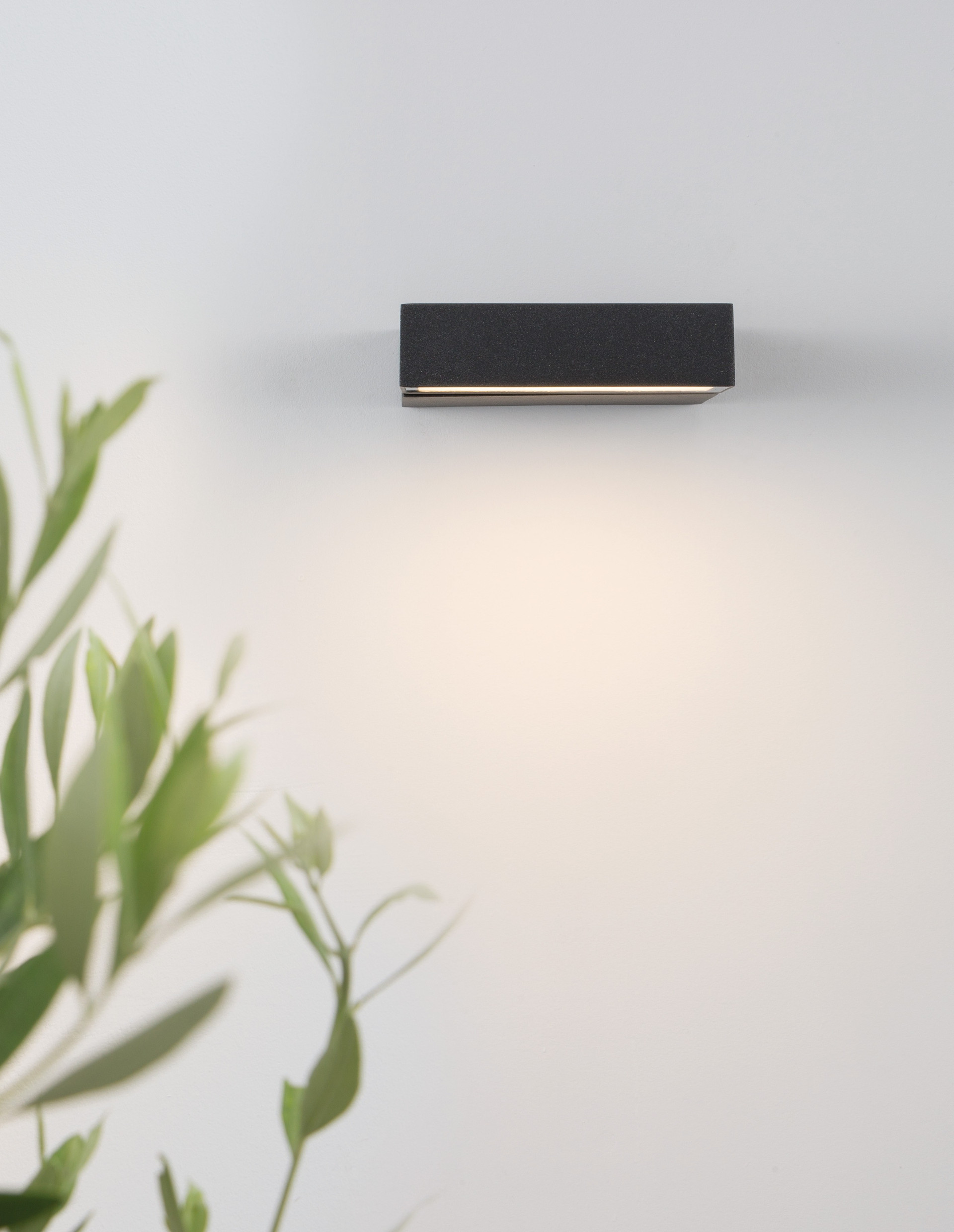 BRIN | L 14 W 14.5 H 3.5 cm | 10 W | 3000 K | 341 lm | IP65 | Black | Aluminum