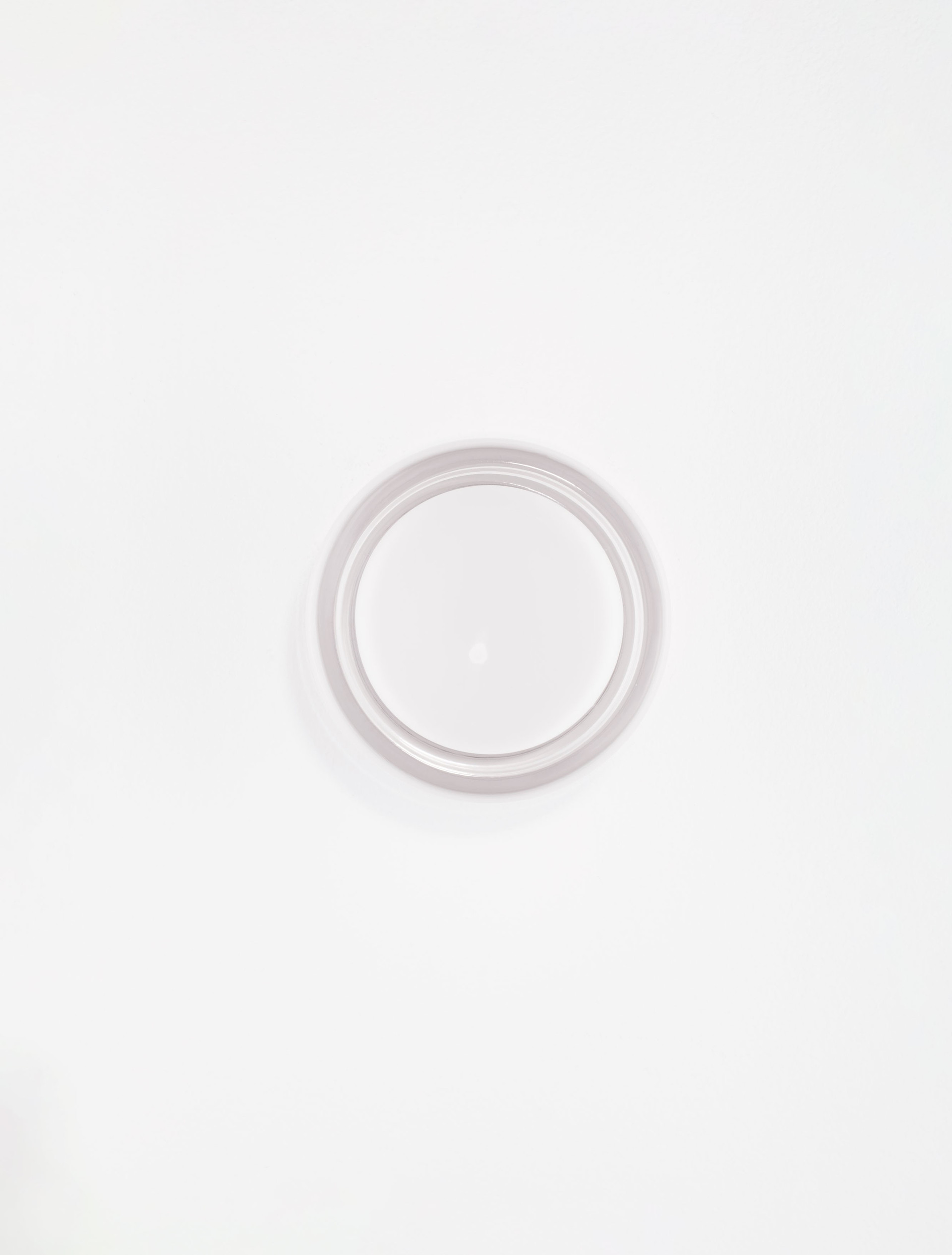 POLLUX