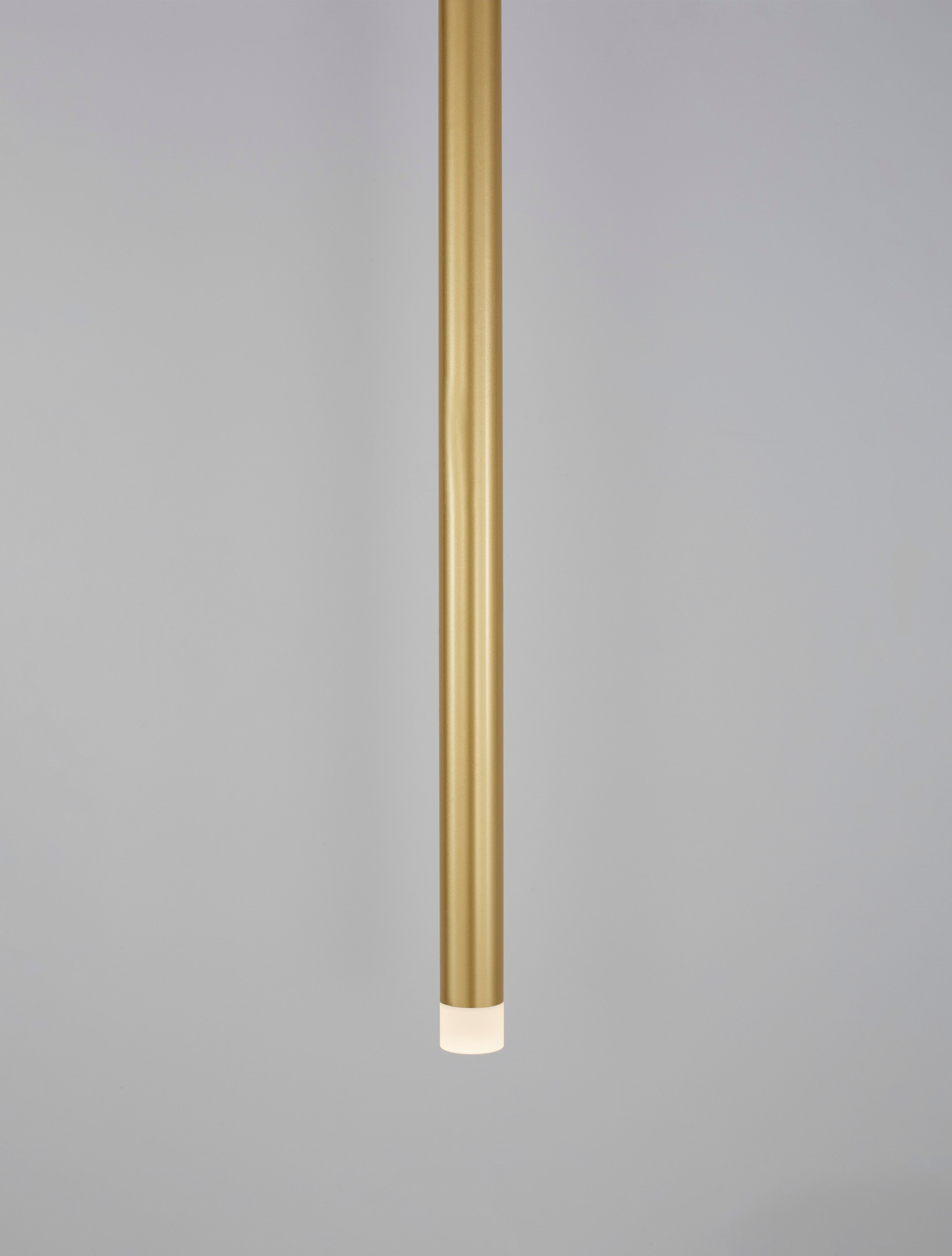 TRIMLE | H 50 D 2.5 cm | 3 W | 3000 K | 271 lm | IP20 | Gold | Aluminum/Acrylic