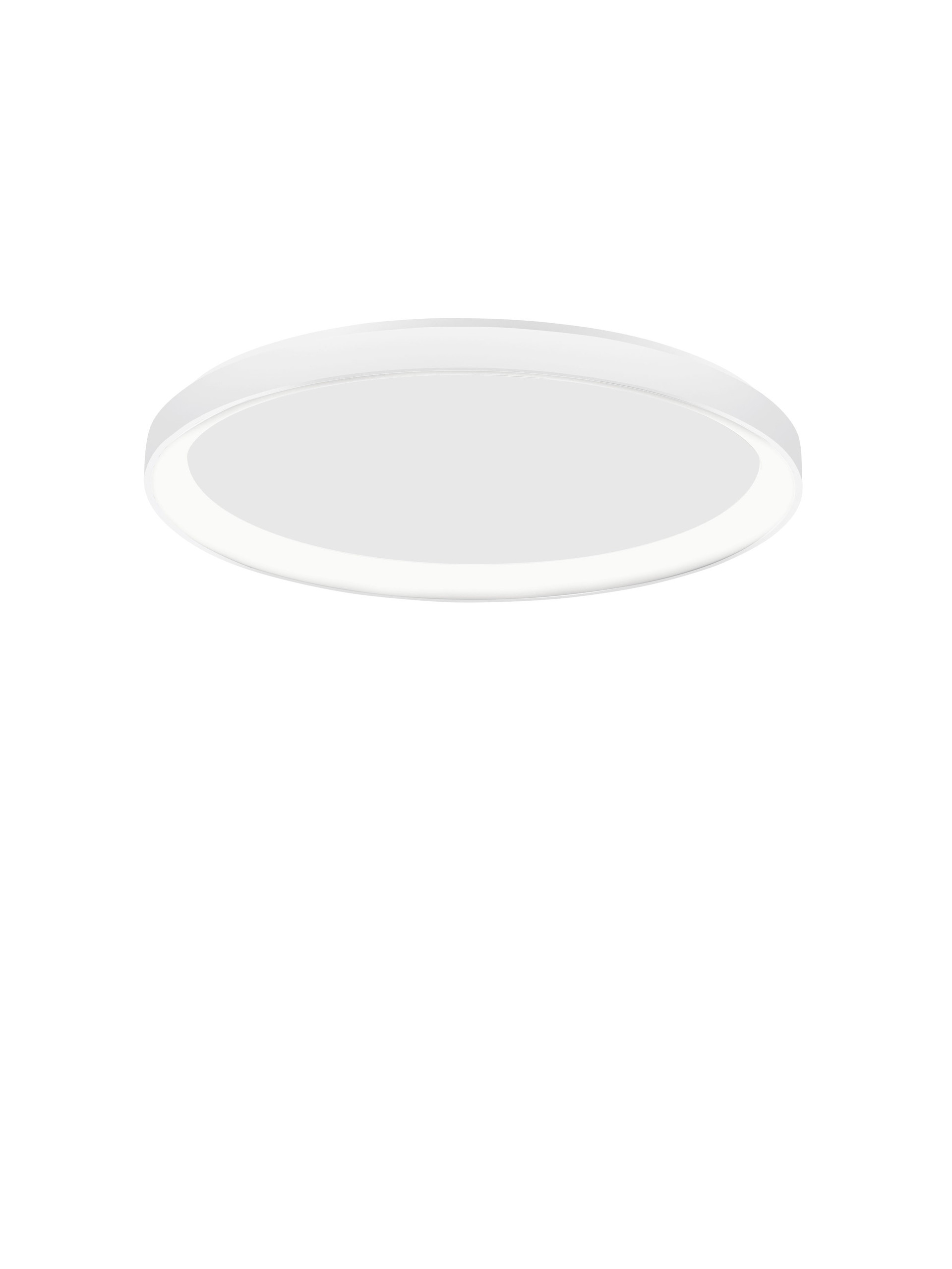 PERTINO thumbnail