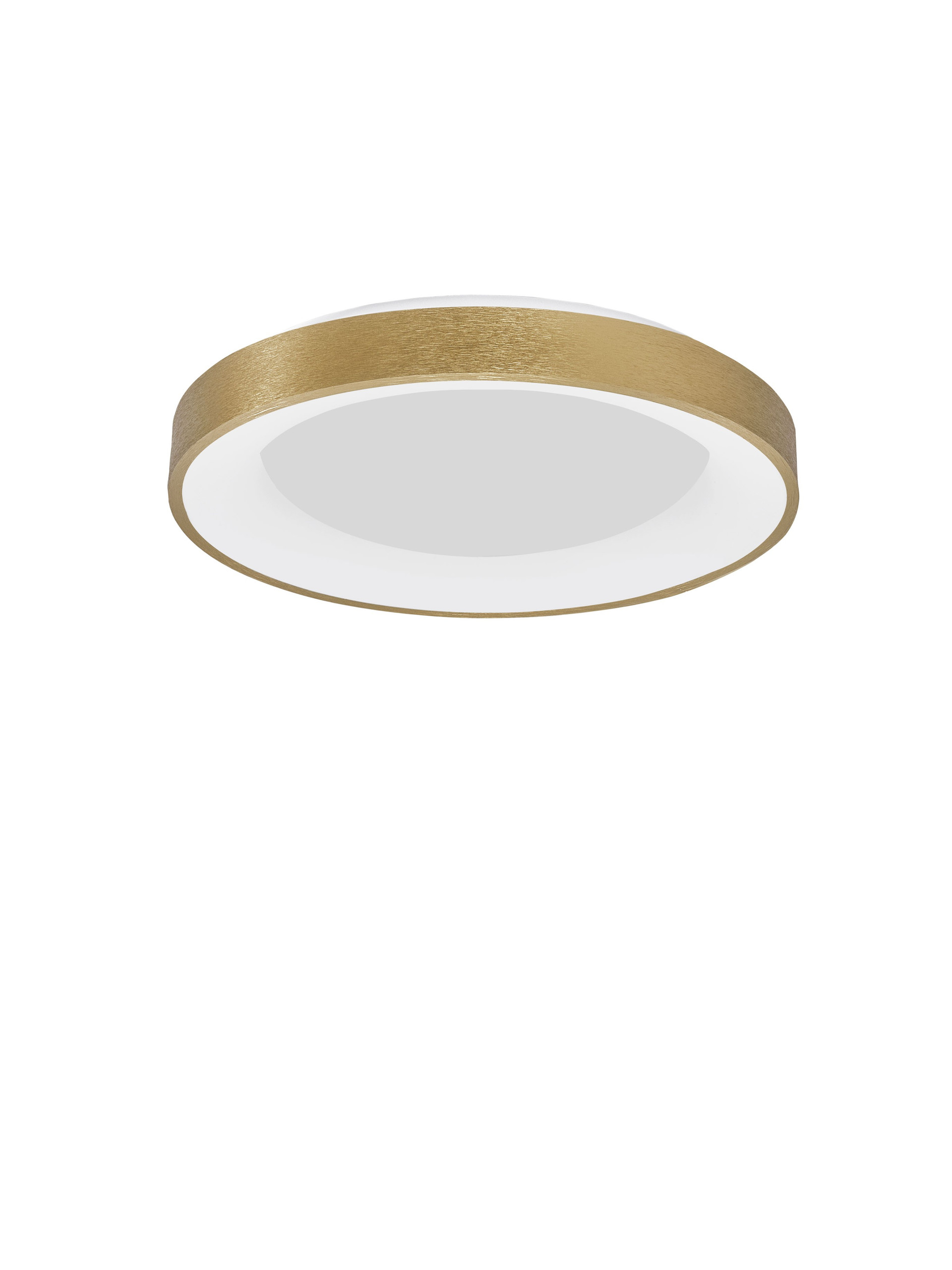 RANDO THIN | H 9 D 60 cm | 50 W | 3000 K | 2864 lm | IP20 | Gold | Aluminum/Acrylic