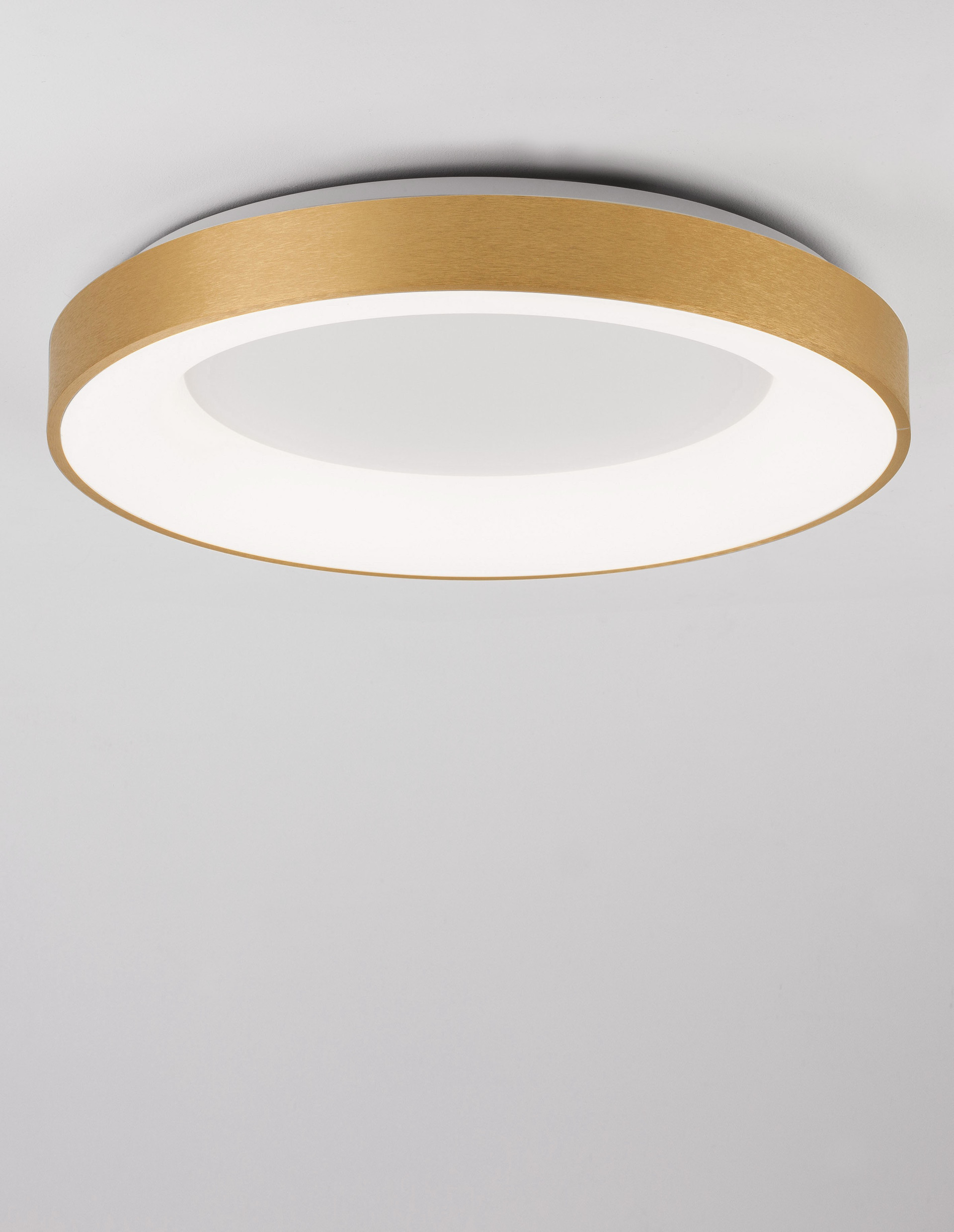 RANDO THIN | H 9 D 60 cm | 50 W | 3000 K | 2864 lm | IP20 | Gold | Aluminum/Acrylic