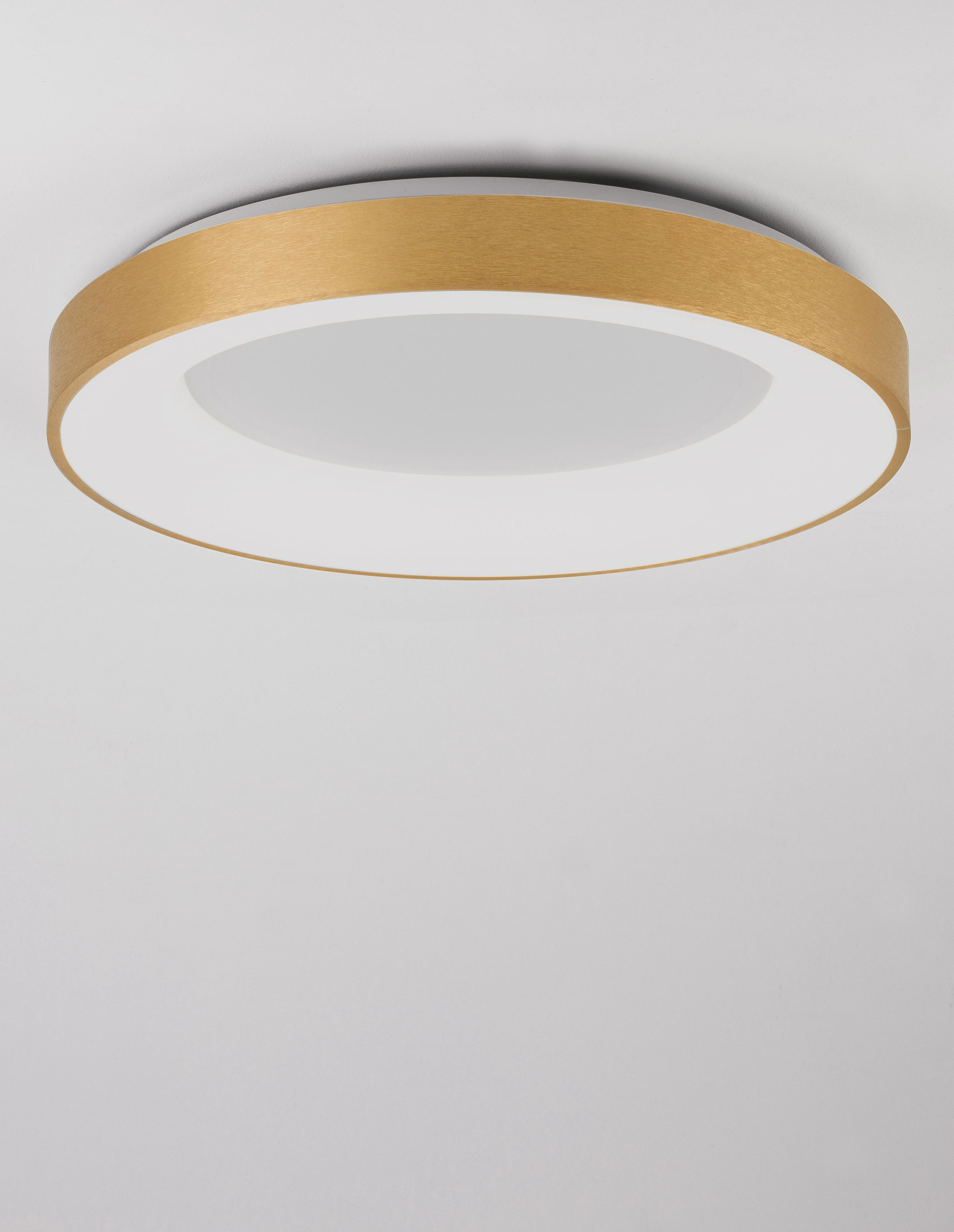 RANDO THIN | H 9 D 60 cm | 50 W | 3000 K | 2864 lm | IP20 | Gold | Aluminum/Acrylic