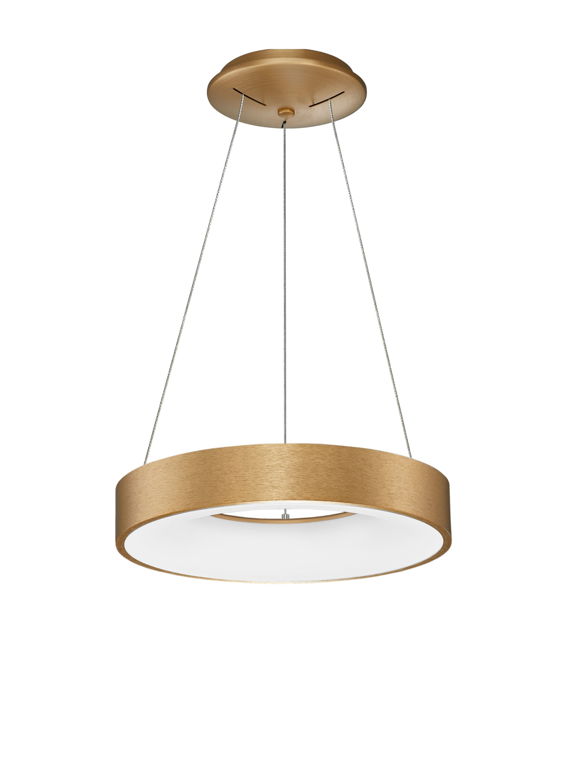 RANDO THIN | H 120 D 38 cm | 30 W | 3000 K | 1845 lm | IP20 | Gold | Aluminum/Acrylic