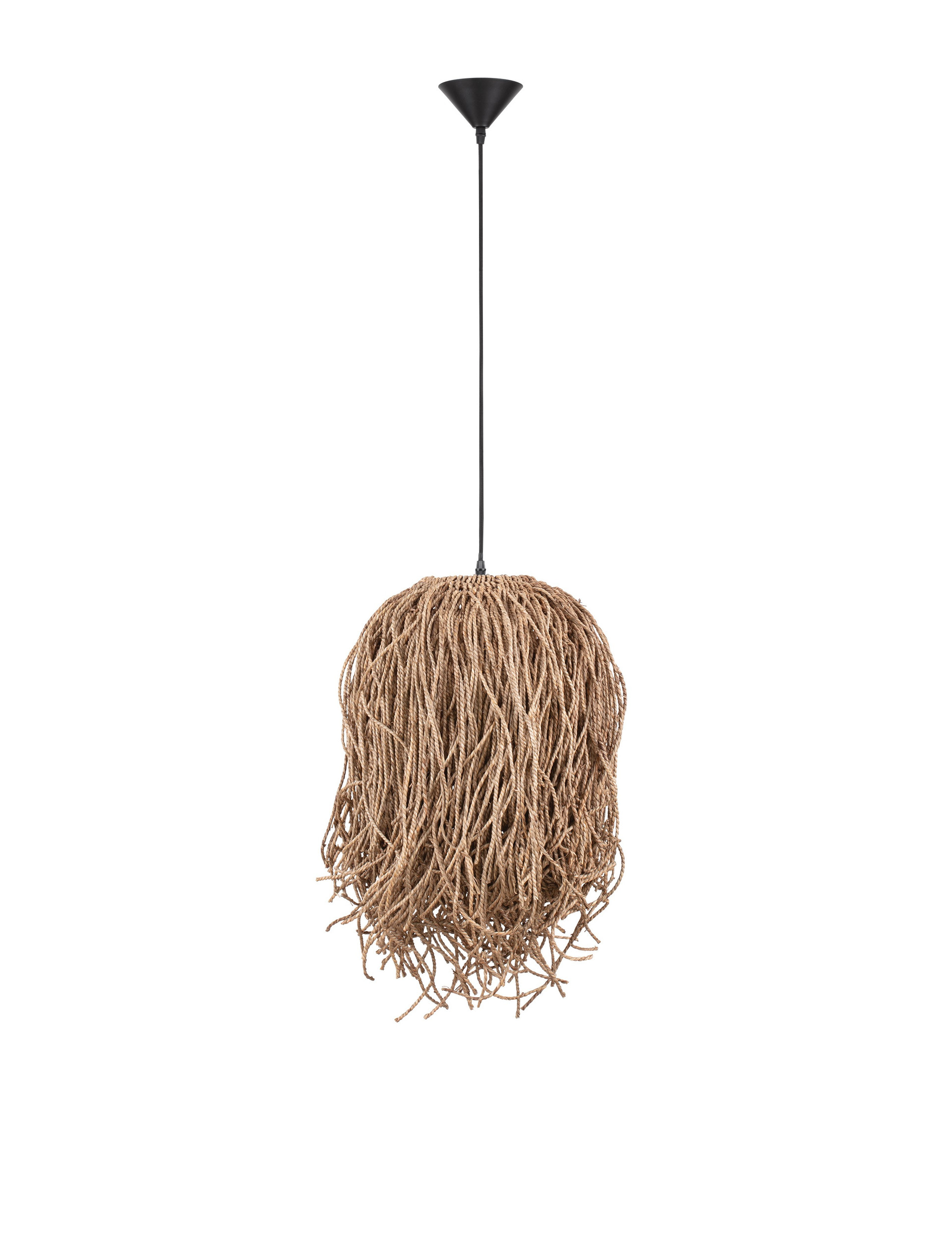 HAY