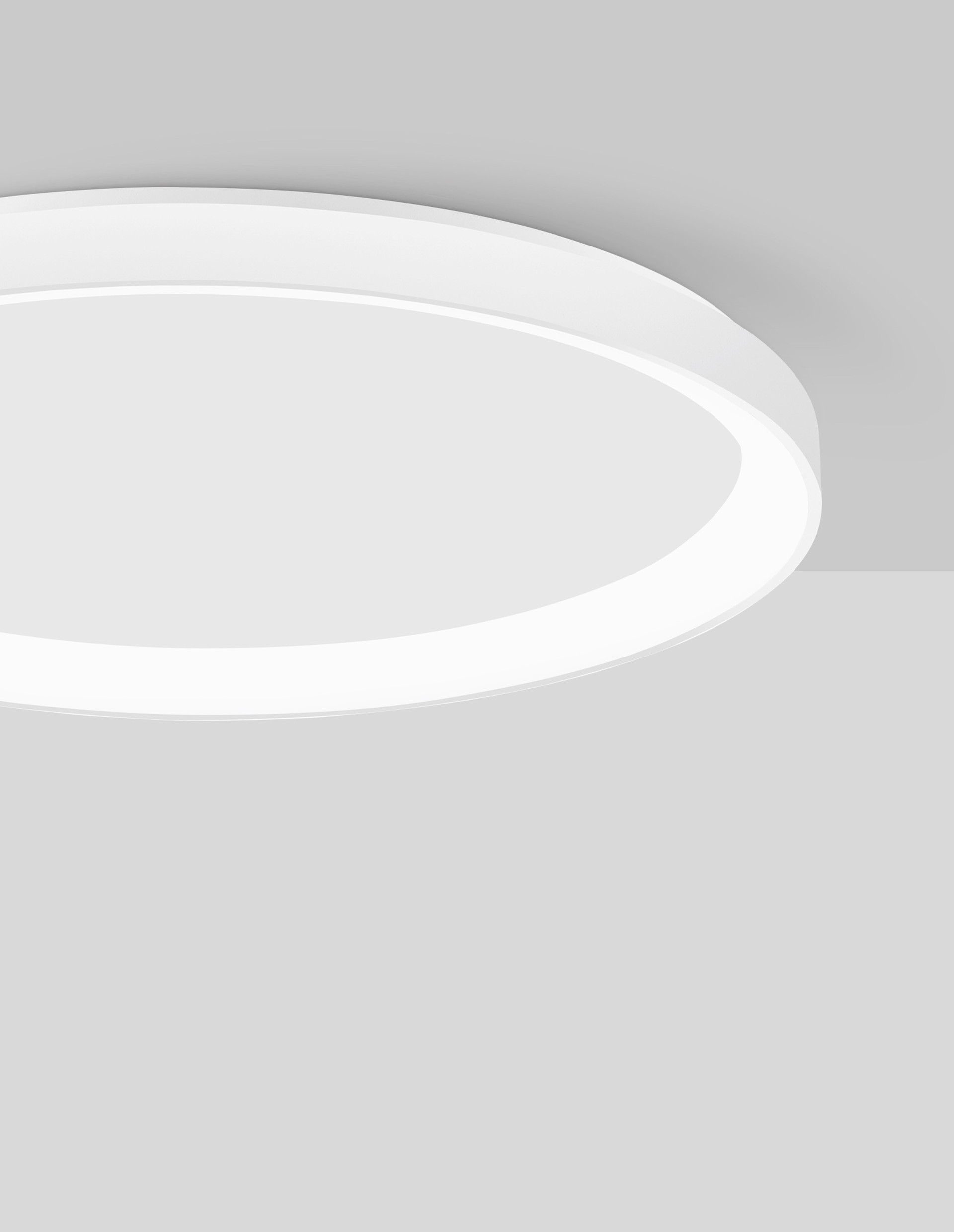 PERTINO thumbnail